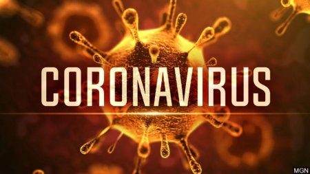 Коронавирусная инфекция 2019-nCoV: мифы и ложные представления